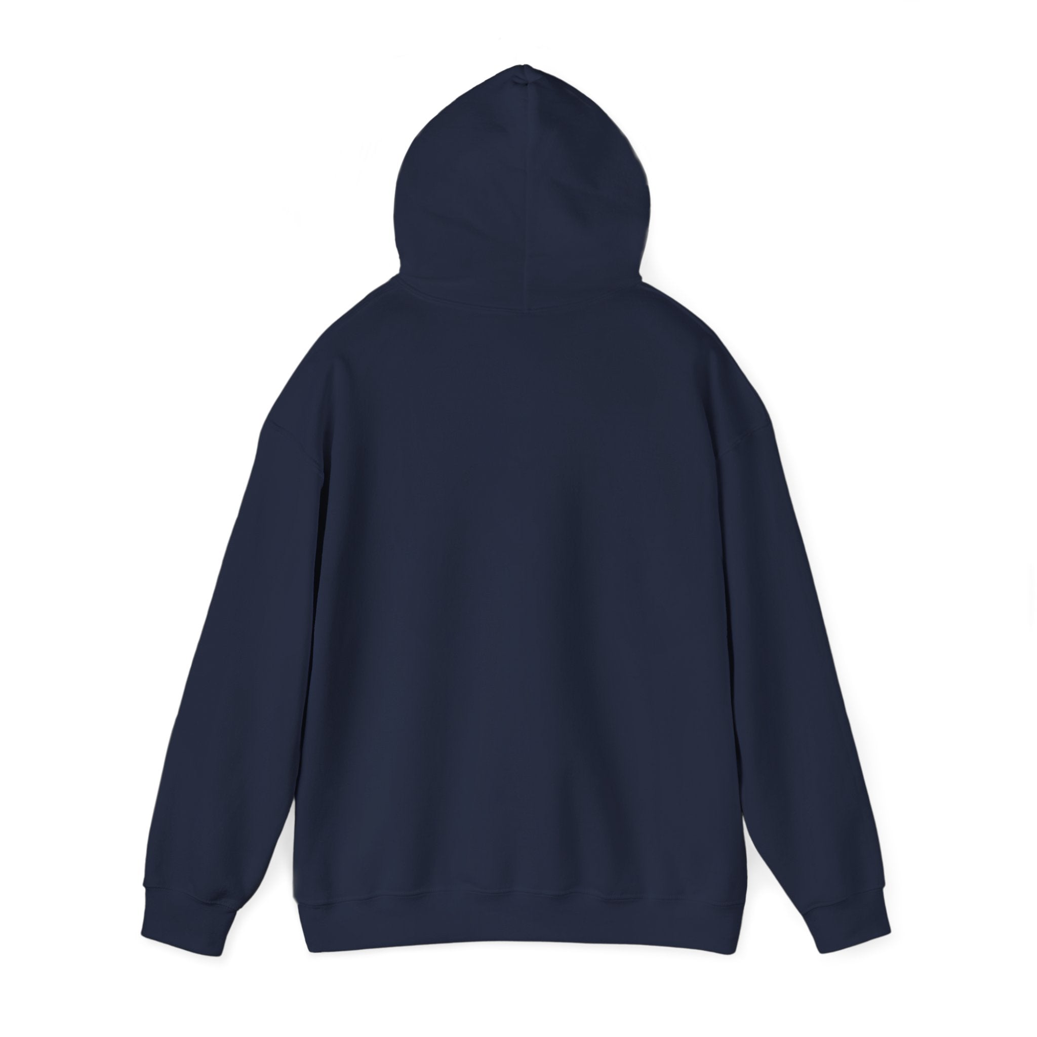 Saucer Surge Hoodie 8