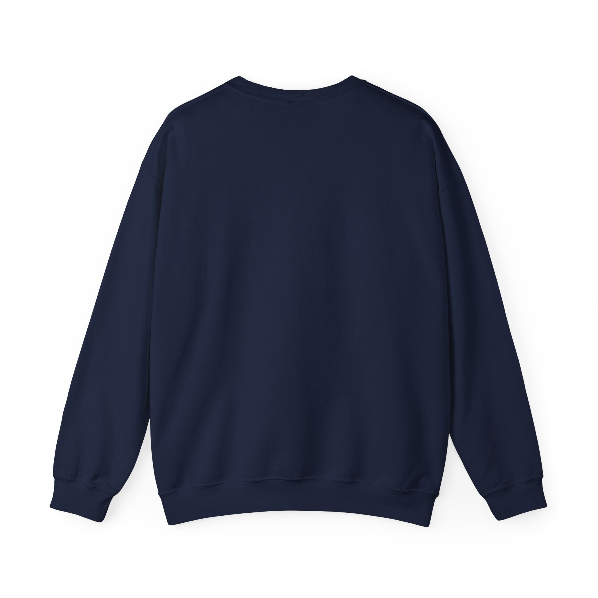 Saucer Surge Sweatshirt 2