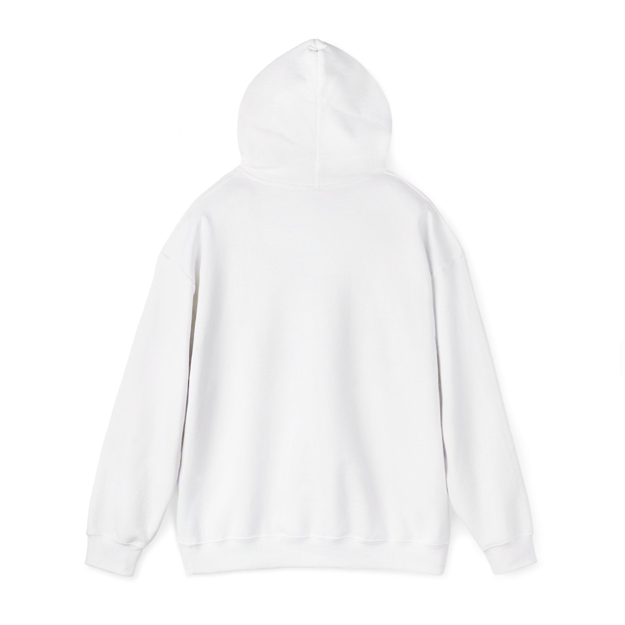 Saucer Surge Hoodie 3