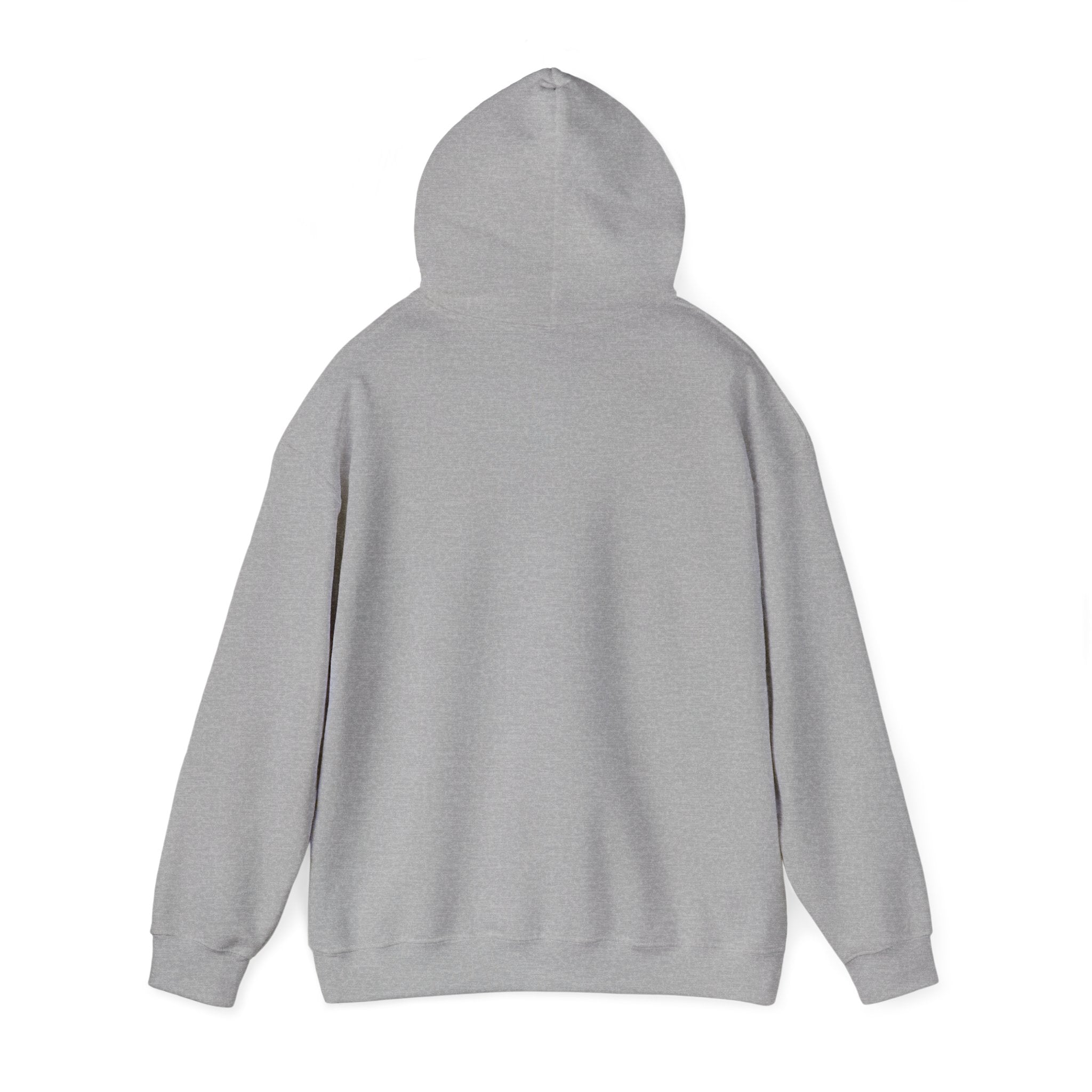 Saucer Surge Hoodie 8