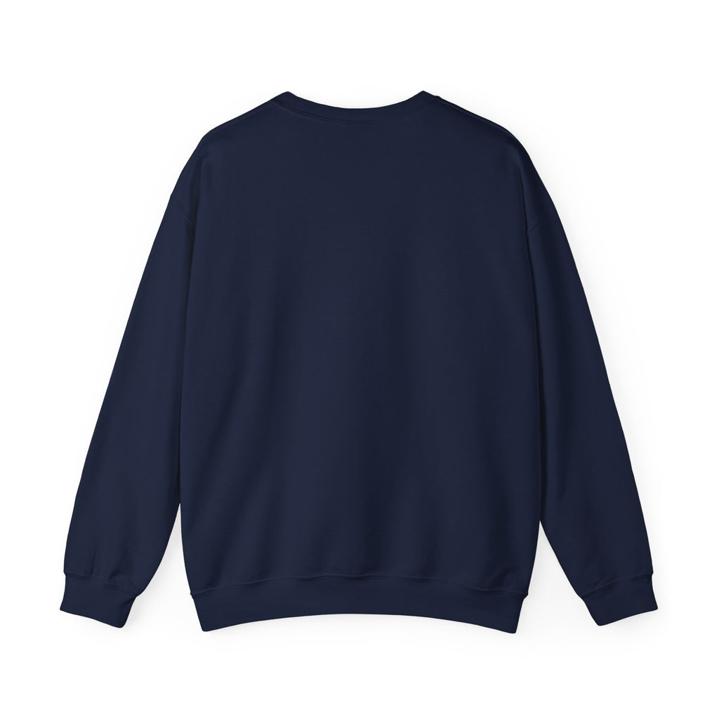 Saucer Surge Sweatshirt 1