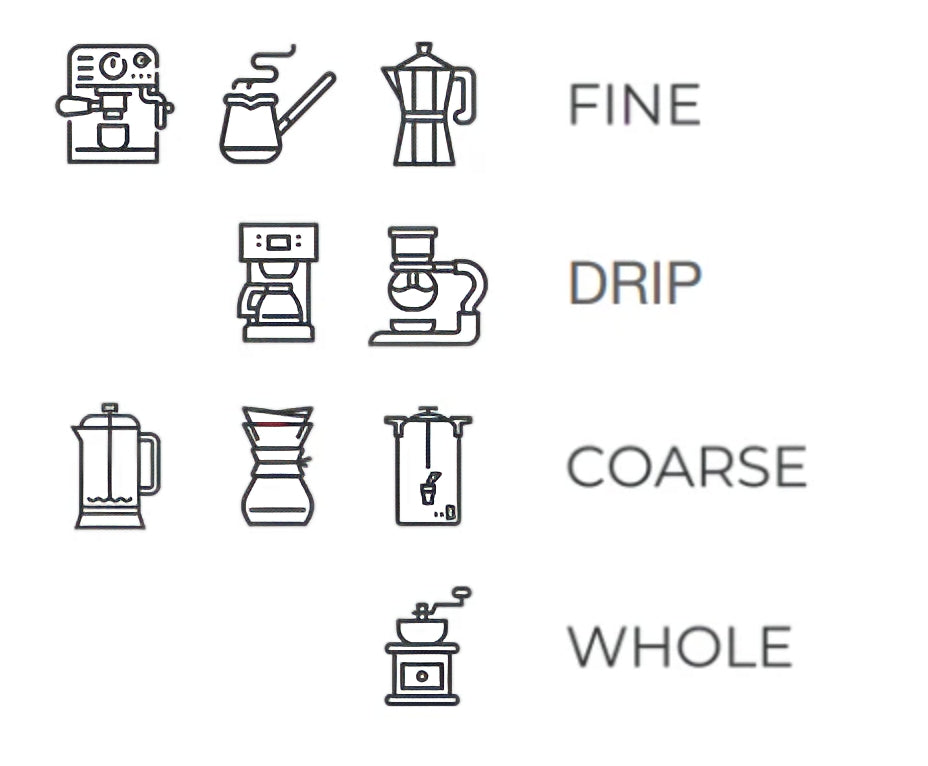 Altair Spark — Medium / Light Roast